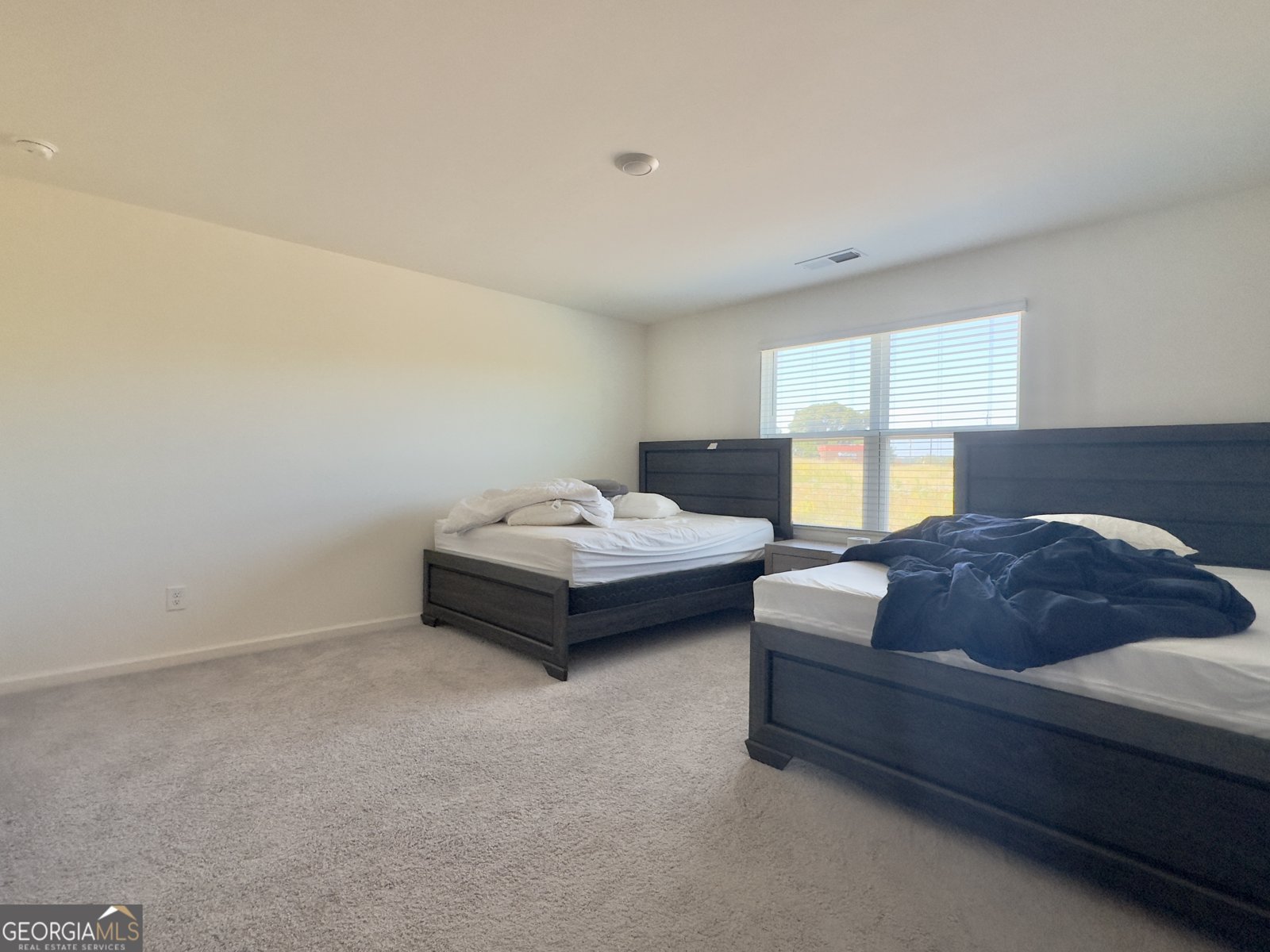 107 Ellicott Way Cartersville - 13