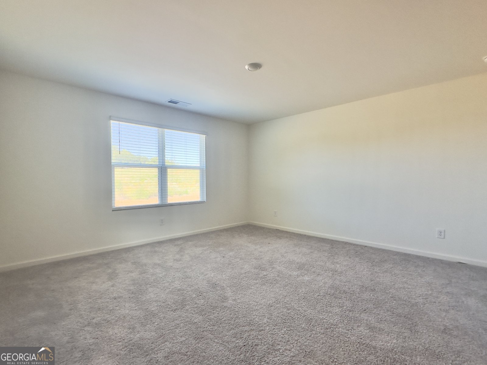 109 Ellicott Way Cartersville - 13