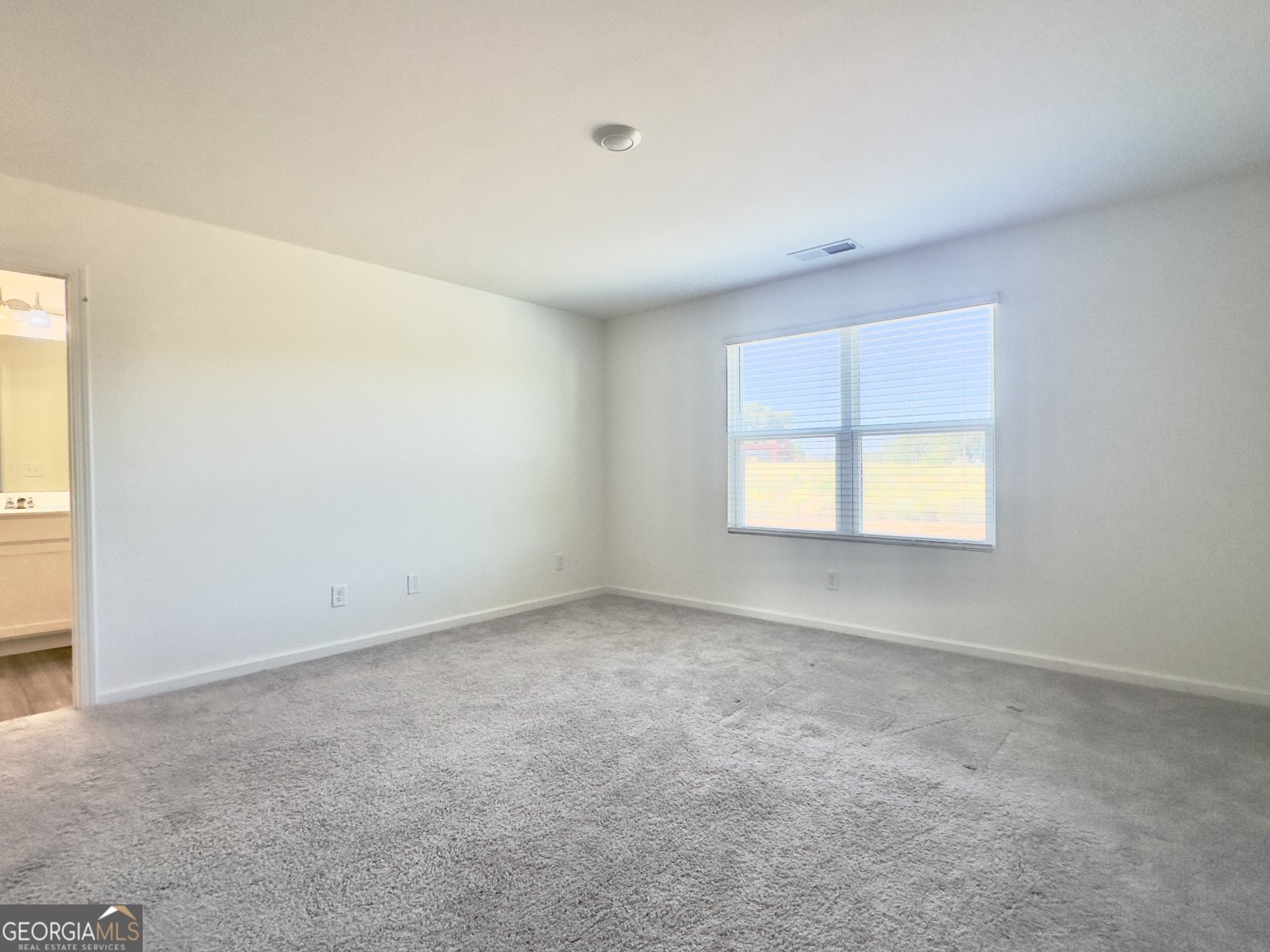 109 Ellicott Way Cartersville - 16