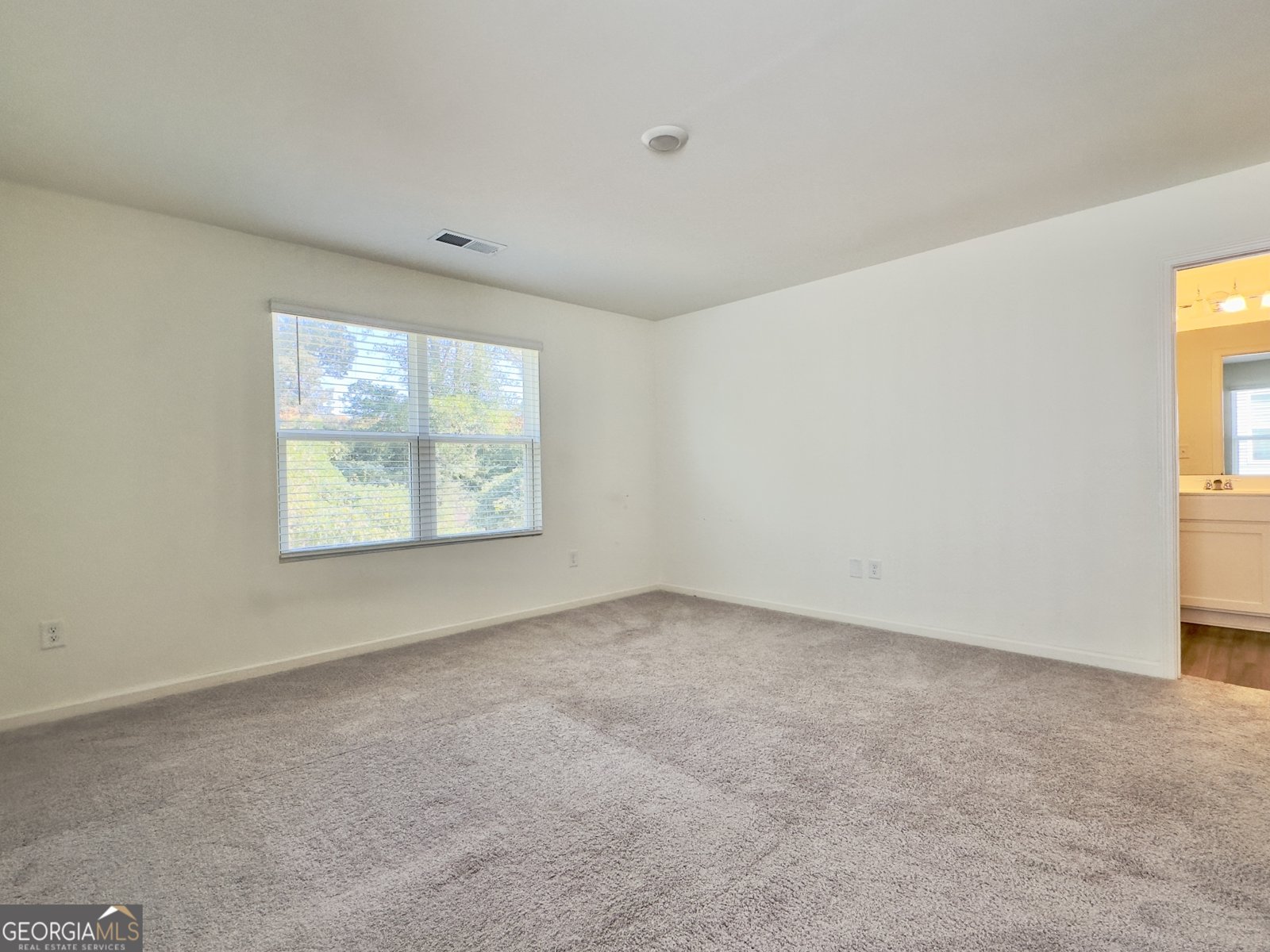 1034 Paddington Drive Cartersville - 12