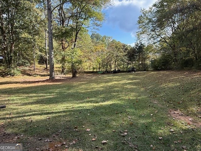 5087 Ga Highway 120 Buchanan - 23