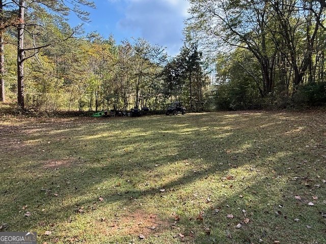 5087 Ga Highway 120 Buchanan - 25