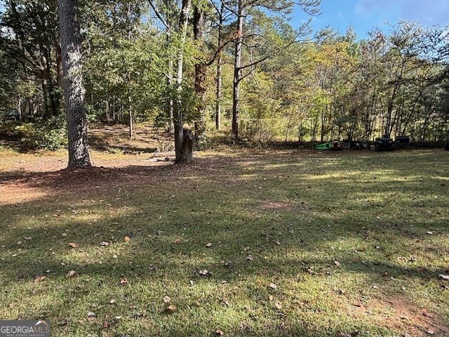 5087 Ga Highway 120 Buchanan - 26