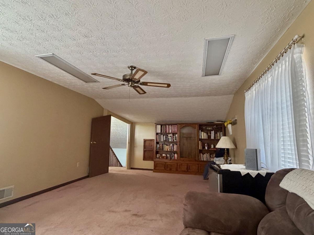 77 Jimmy Boatright Road Hazlehurst - 14