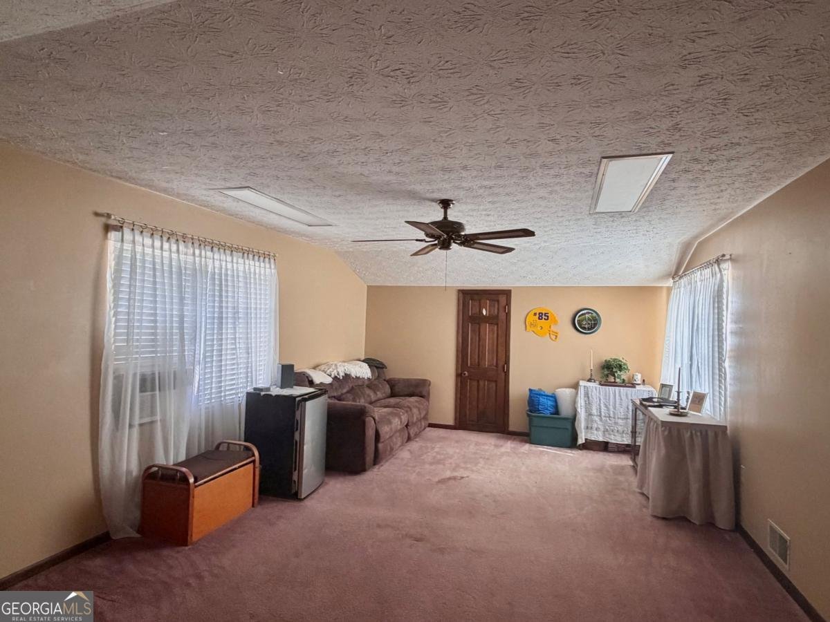 77 Jimmy Boatright Road Hazlehurst - 15