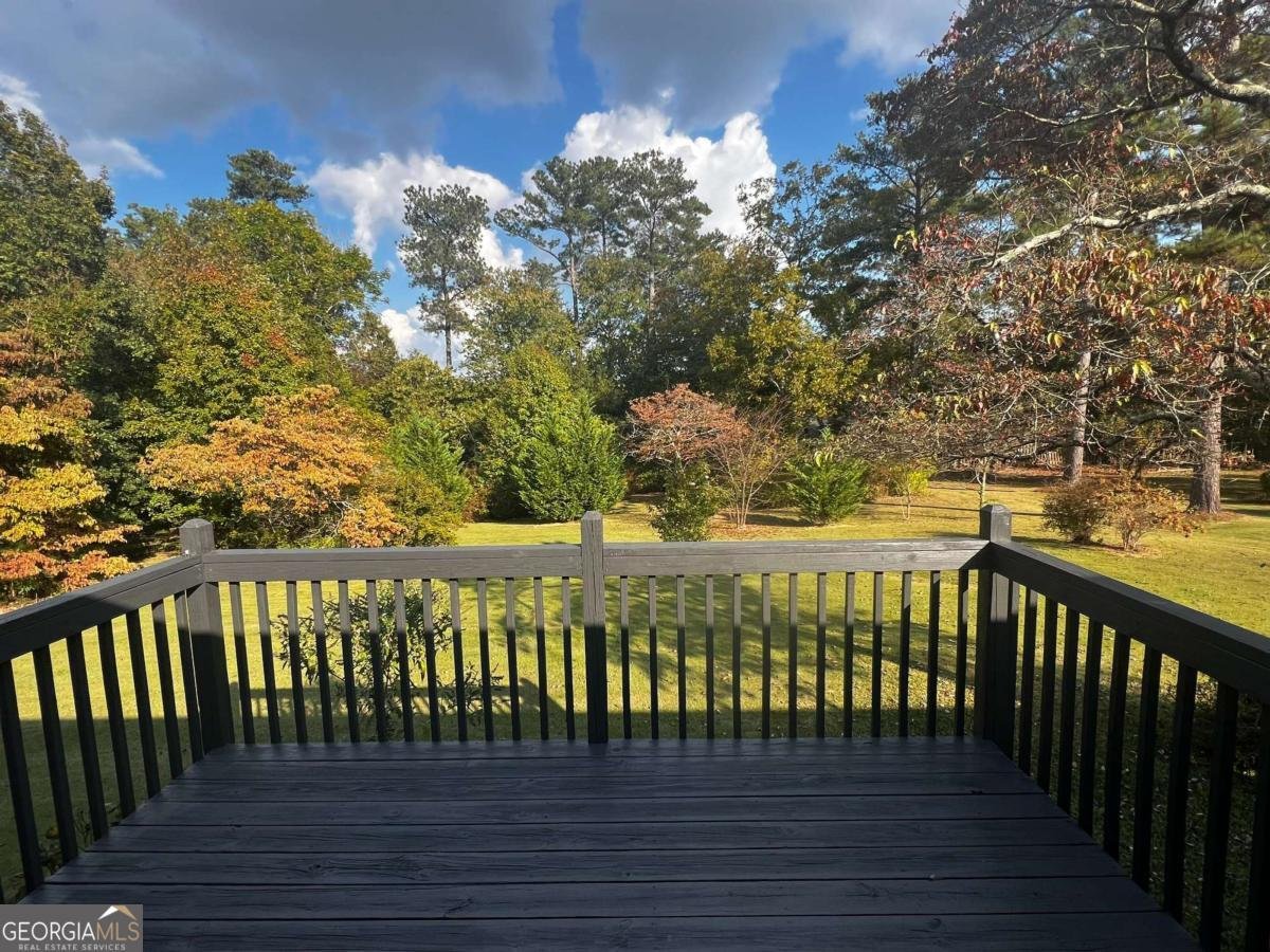 3909 Summit Drive Douglasville - 32