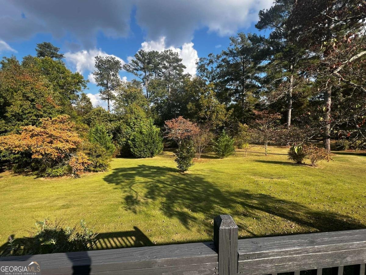 3909 Summit Drive Douglasville - 34