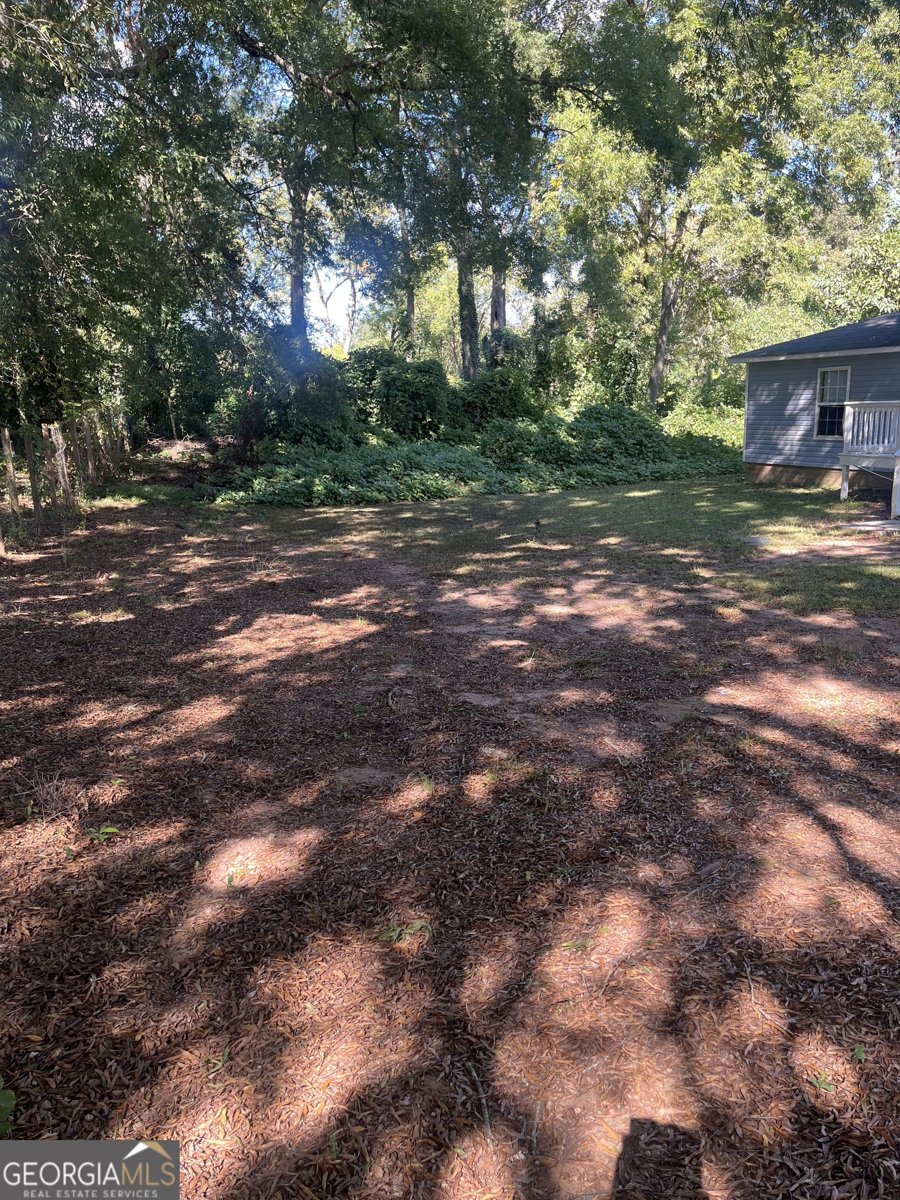 1127 Thompson Street Griffin - 3