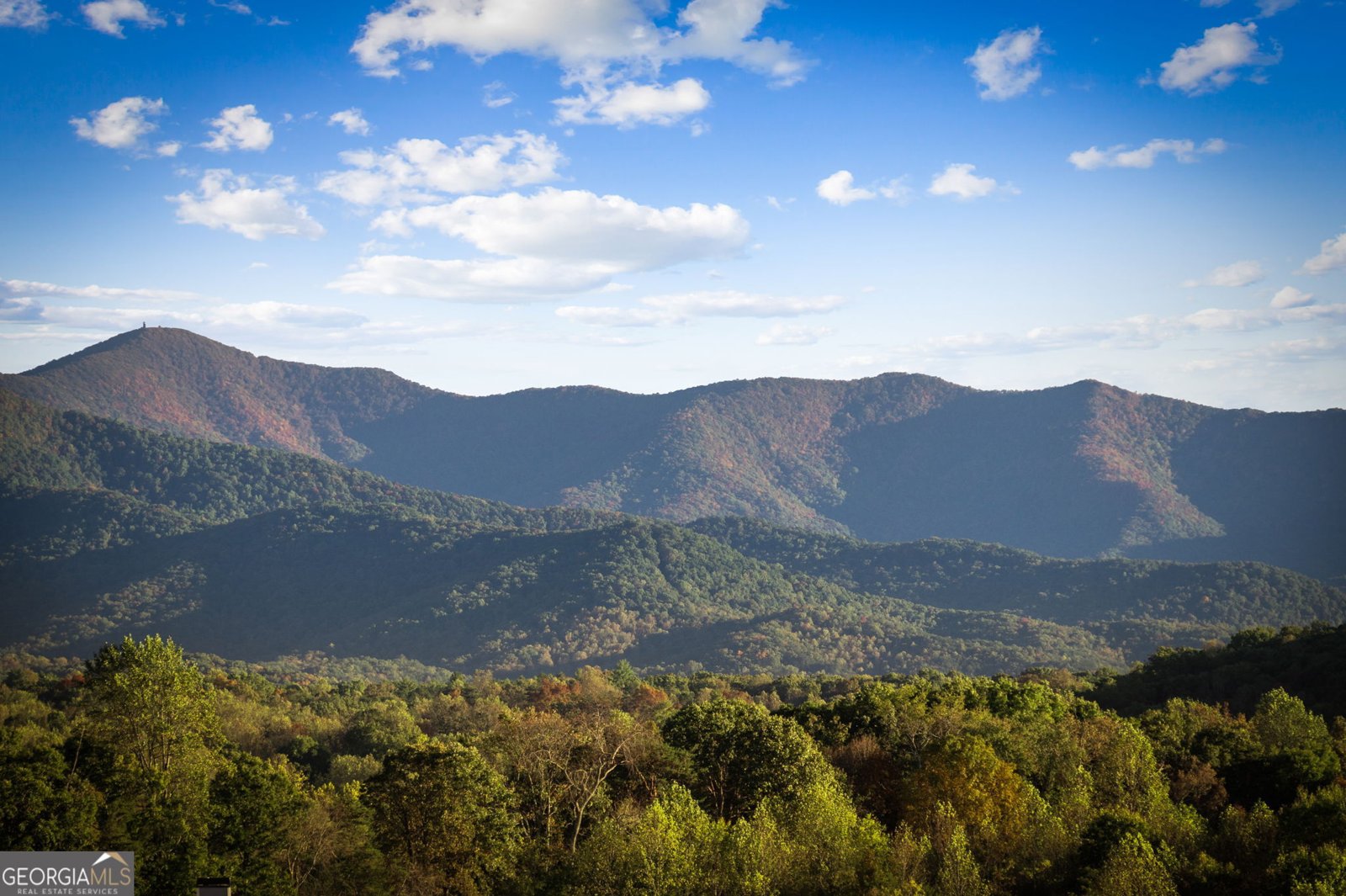 115 Bramshaw Ct Young Harris - 91