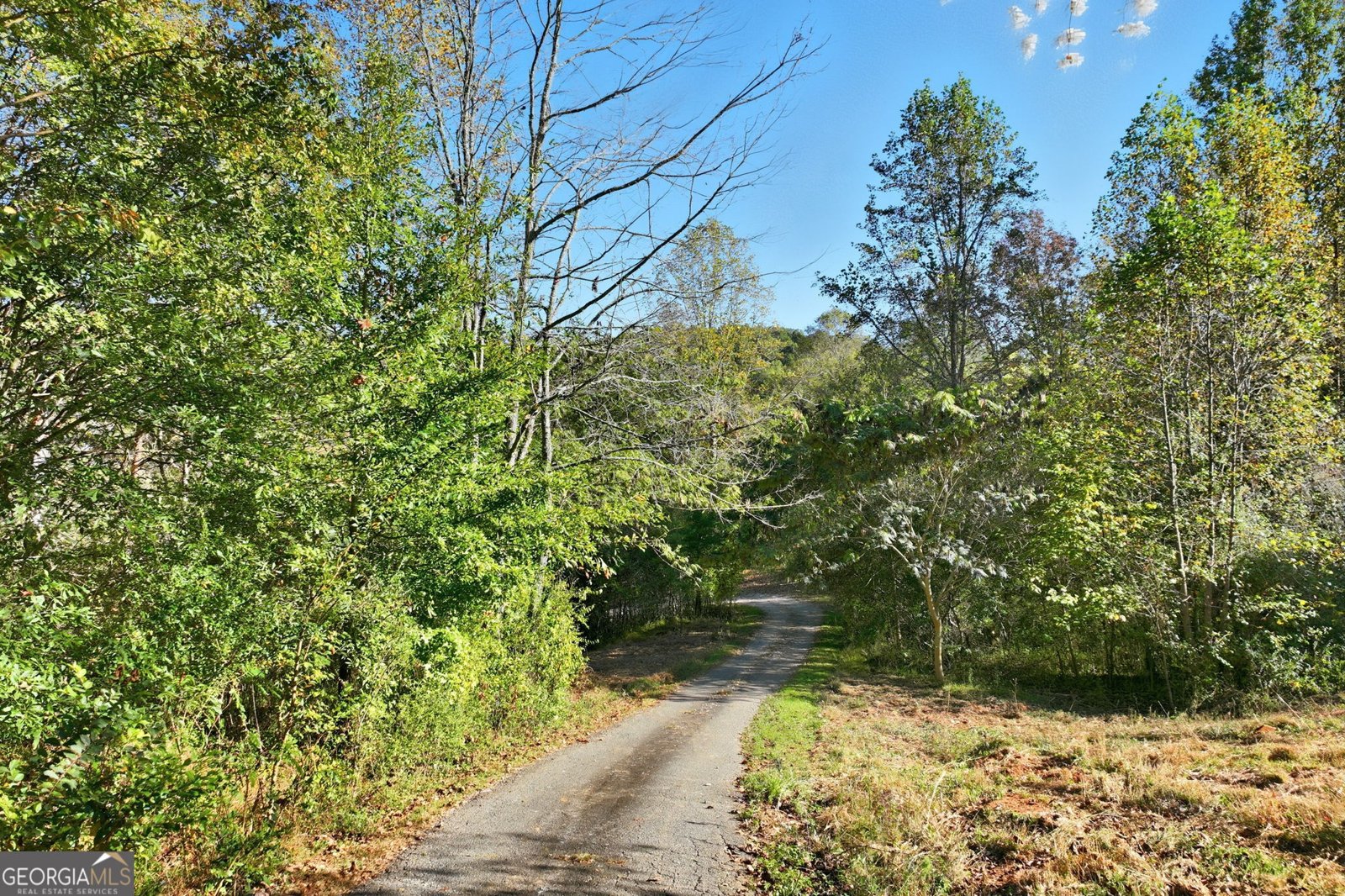 195 Green Valley Drive Dahlonega - 3