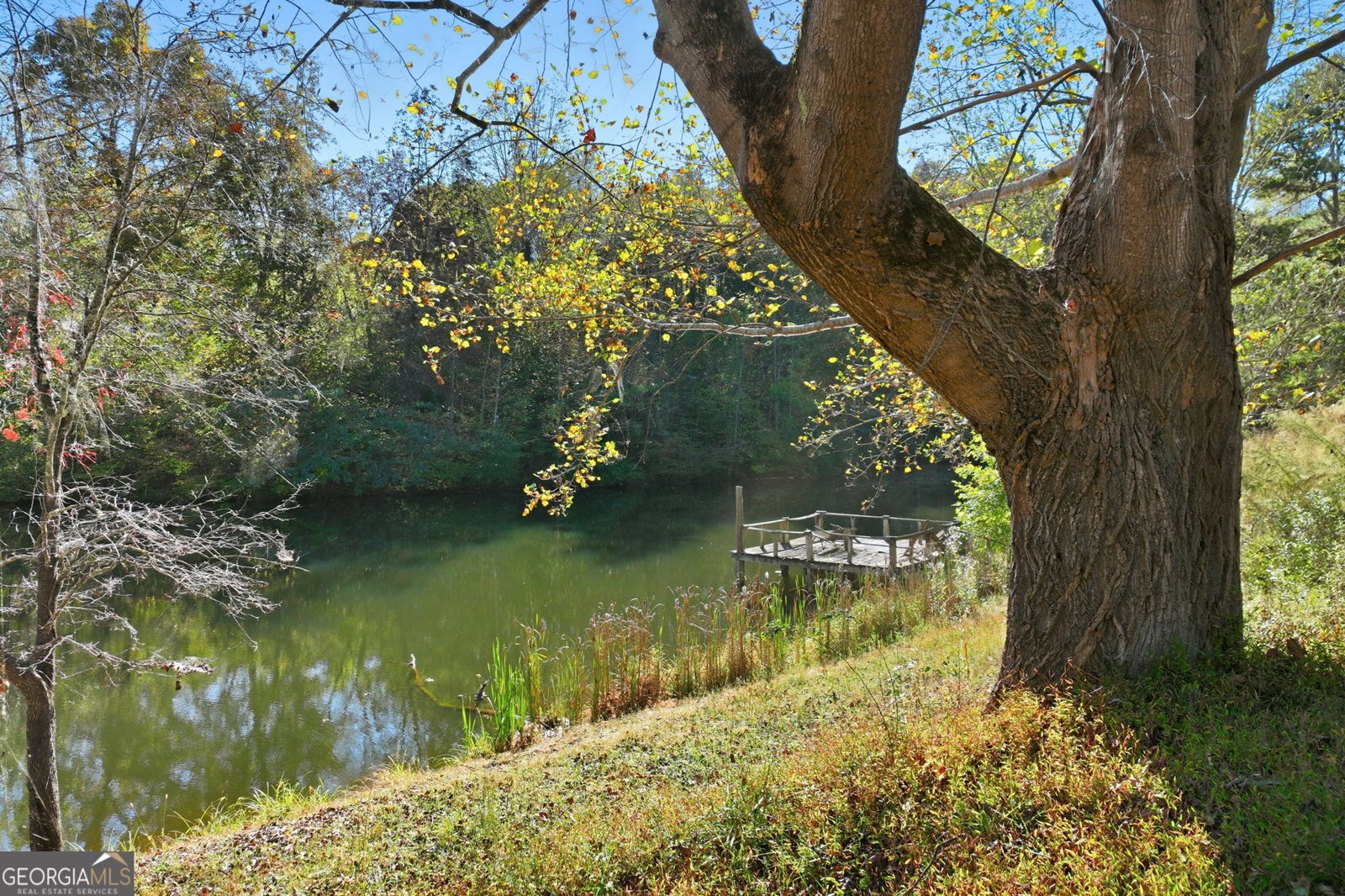 195 Green Valley Drive Dahlonega - 4