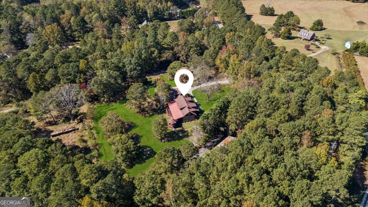 2905 Cammie Wages Road Dacula - 1