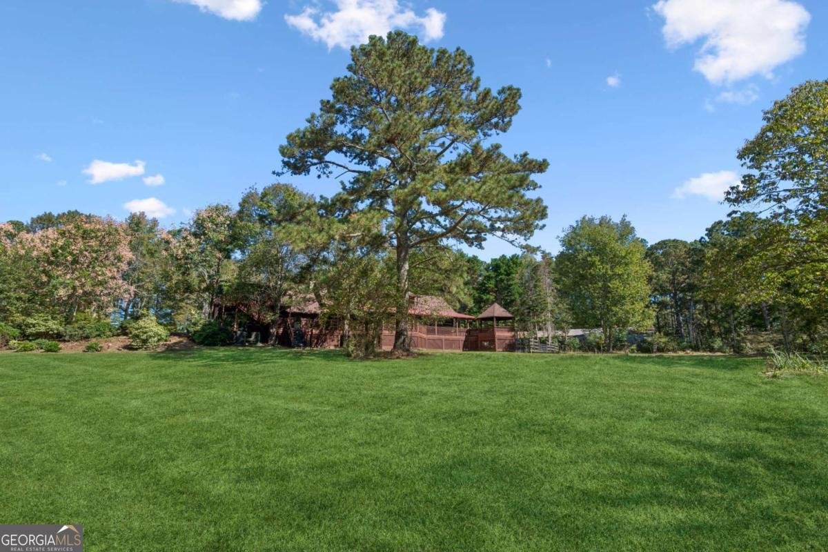 2905 Cammie Wages Road Dacula - 45
