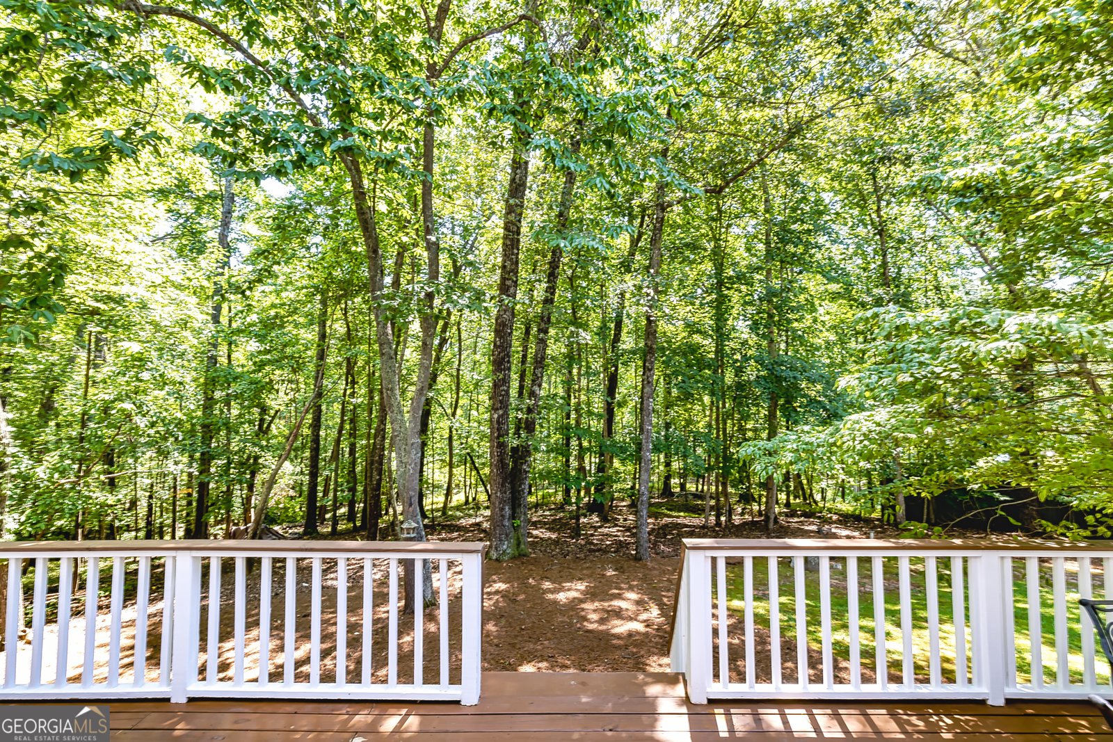 6009 Big A Road Douglasville - 52