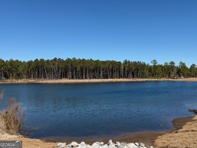 306 Creek Way Brunswick - Photo 47