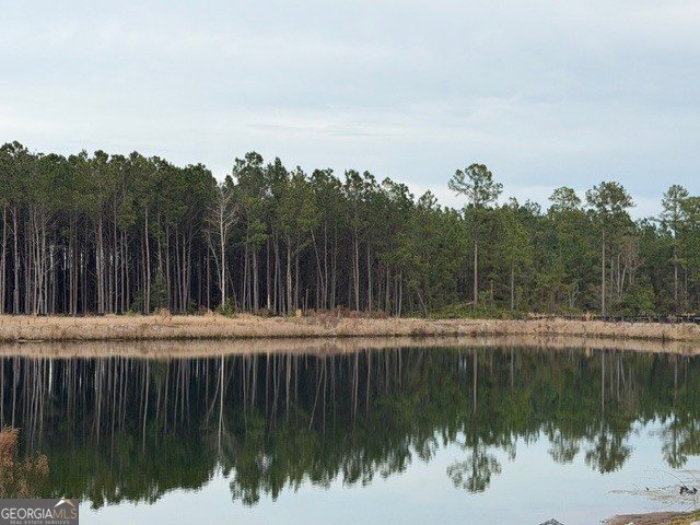 306 Creek Way Brunswick - Photo 49