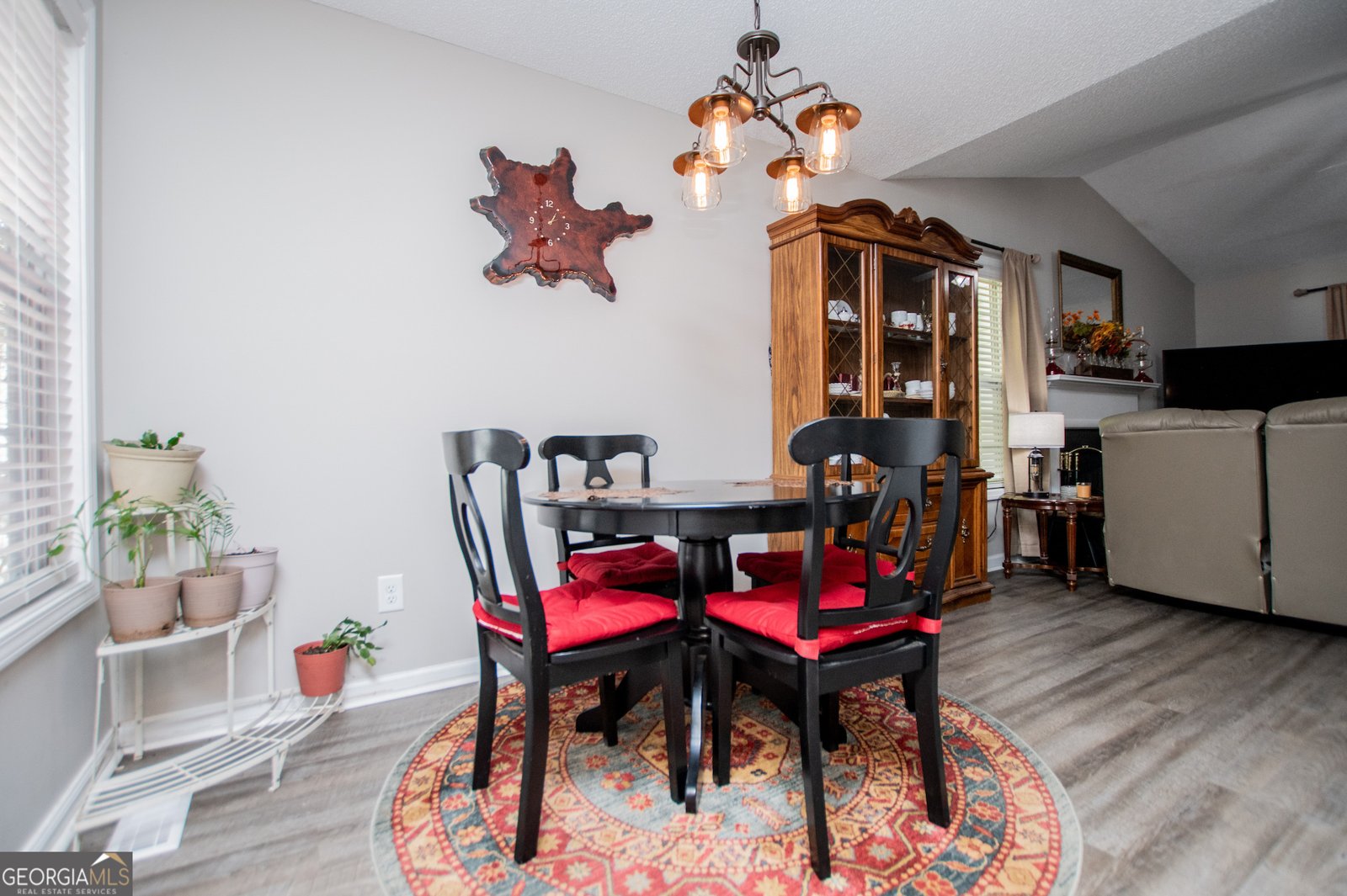 222 Jacob Trail Rockmart - 13