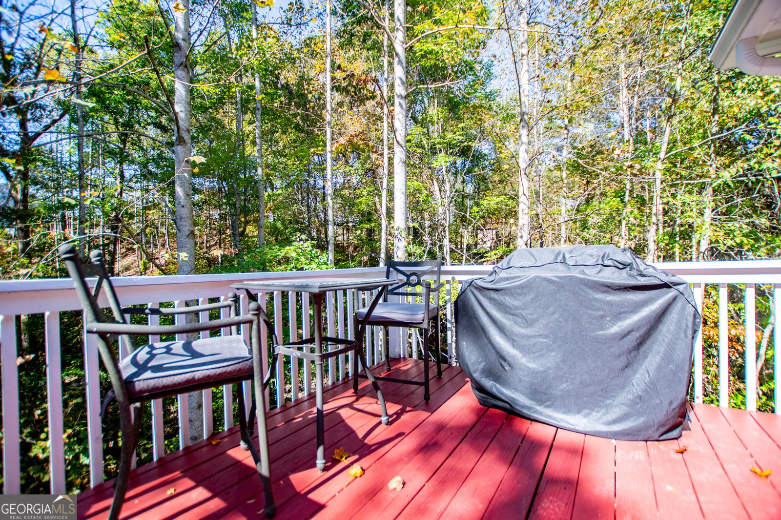 222 Jacob Trail Rockmart - 27