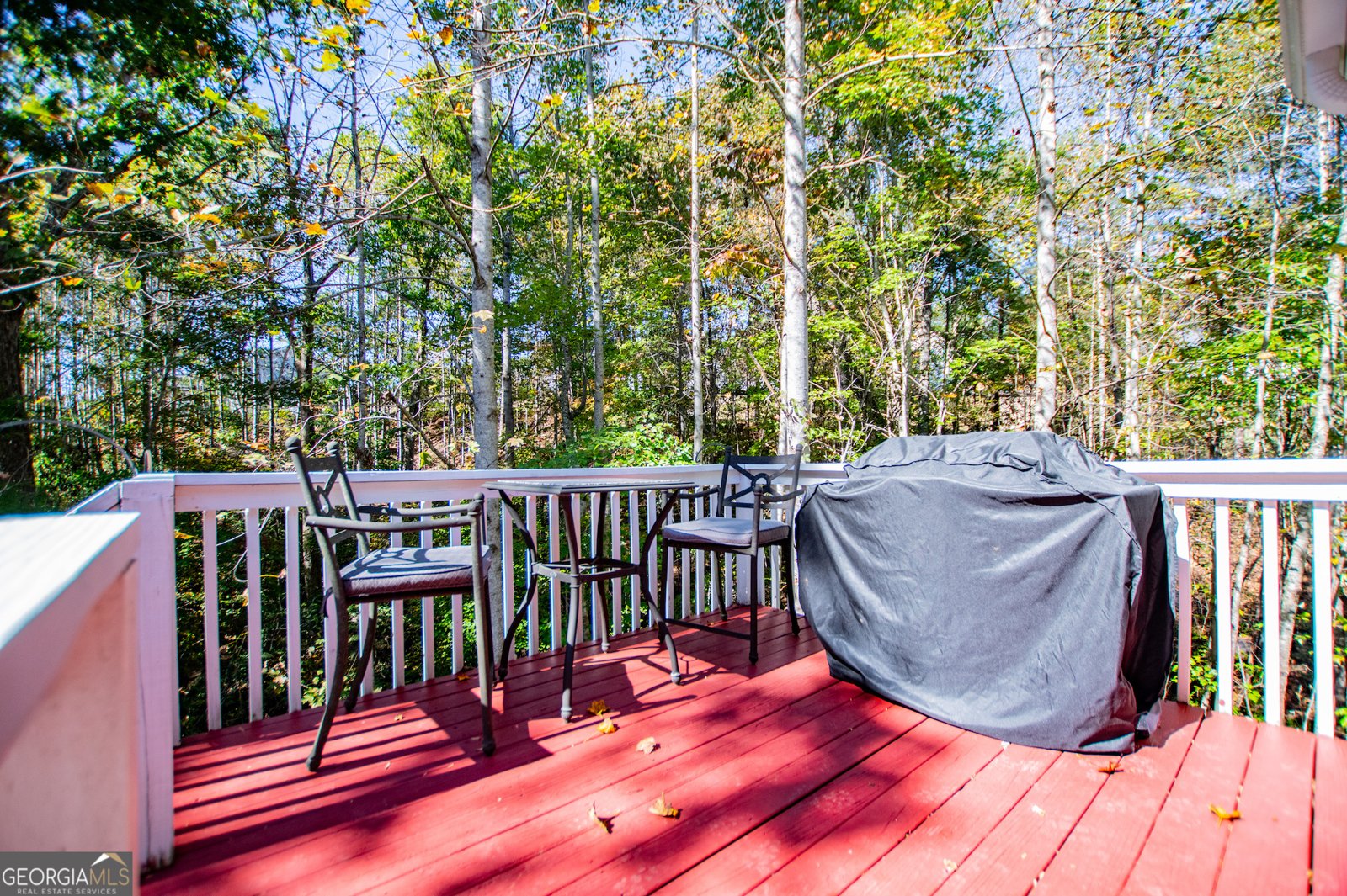 222 Jacob Trail Rockmart - 28