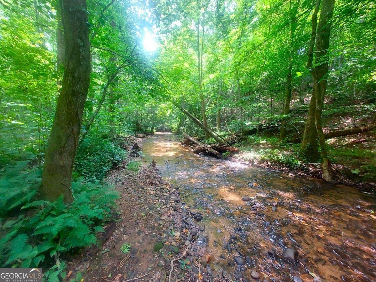 26 Chestnut Oak Point Jasper - 48