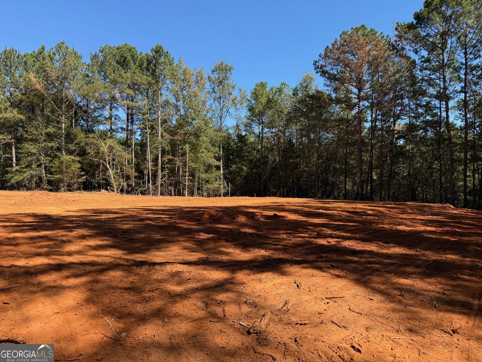 6.5 ACRES Williams Mill Road Zebulon - 3