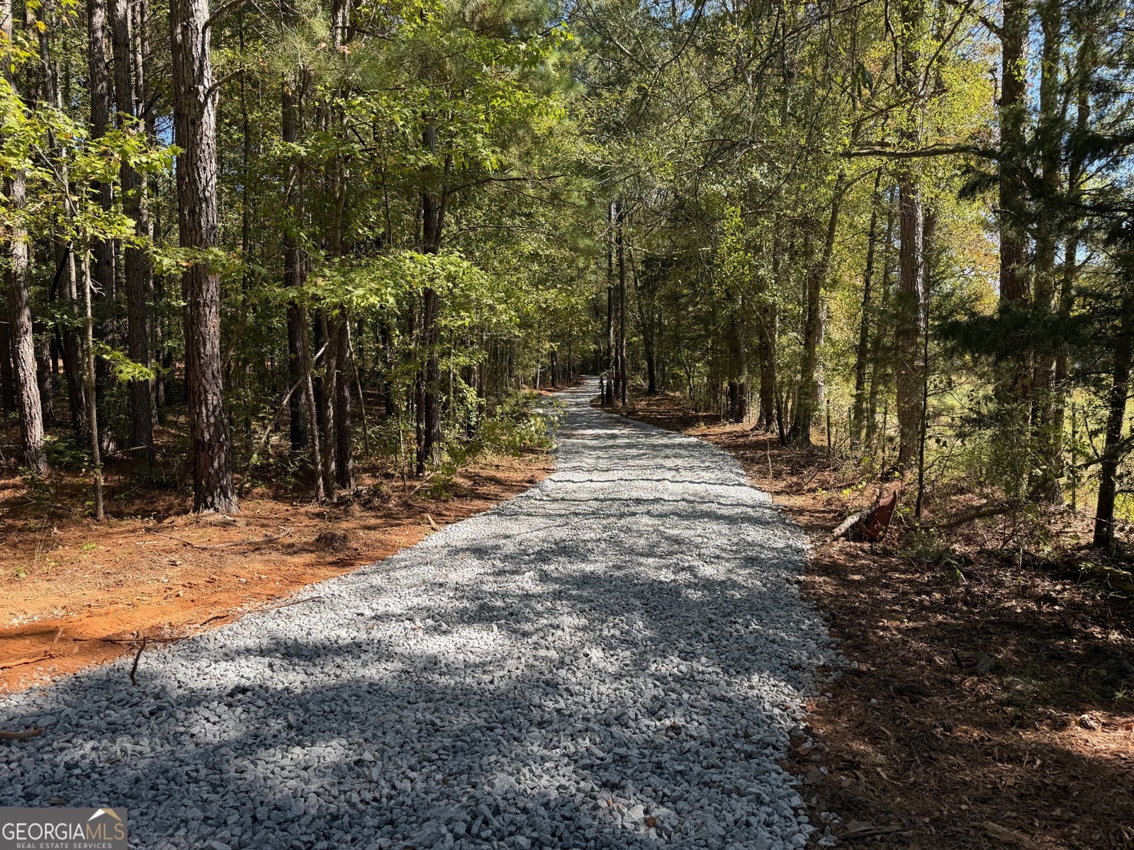 6.5 ACRES Williams Mill Road Zebulon - 4