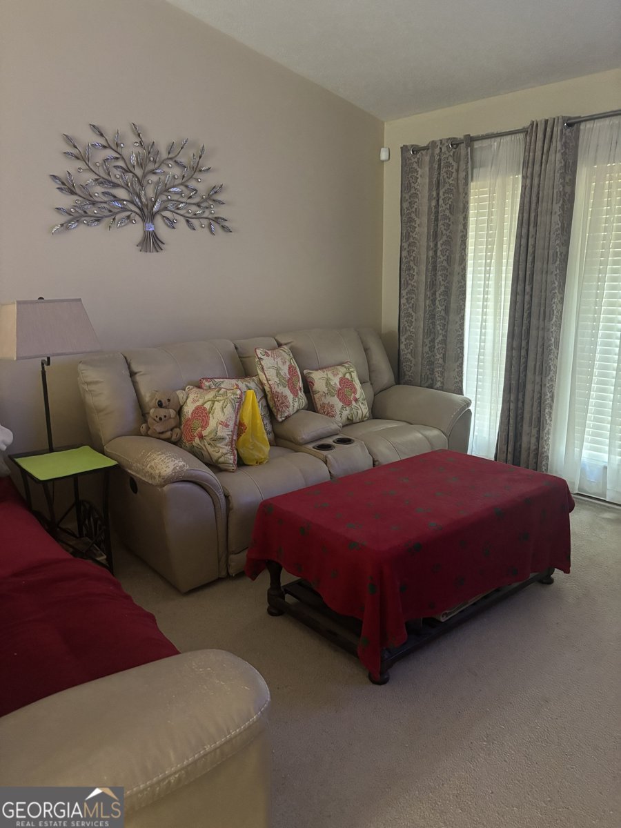 5249 Aruba Circle Augusta - 10