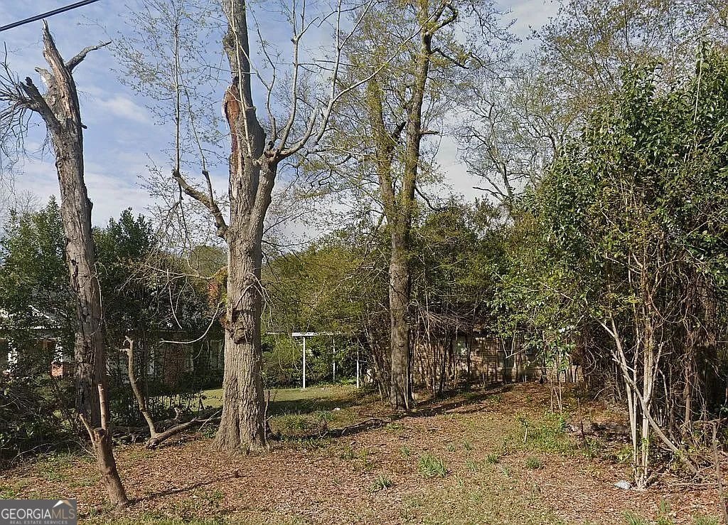 1055 Lamont Street Macon - 2