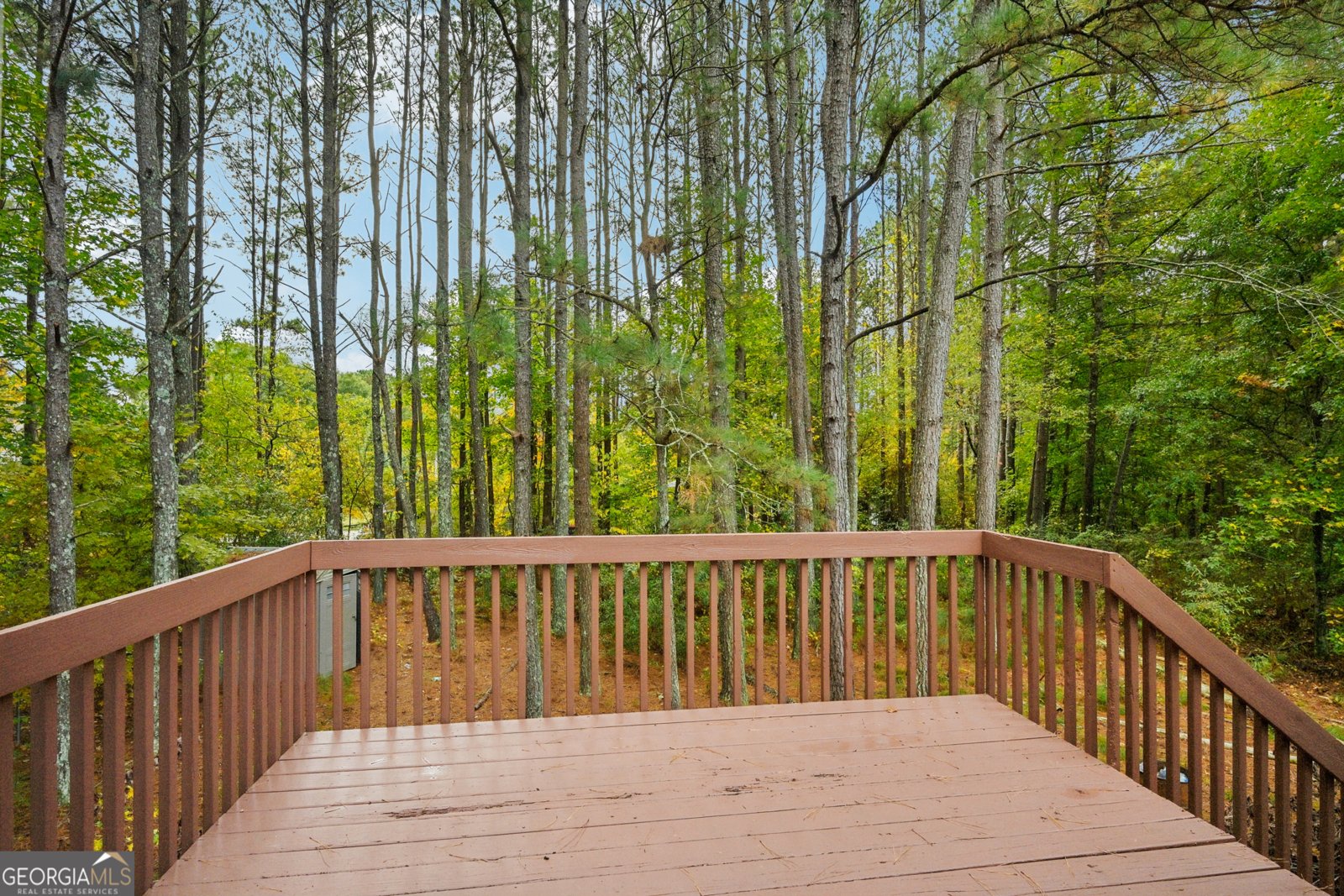 18 Thorntree Pass Powder Springs - 25