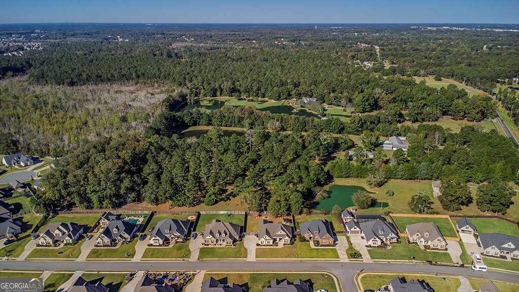 203 Pine Trace Lane Kathleen - 1