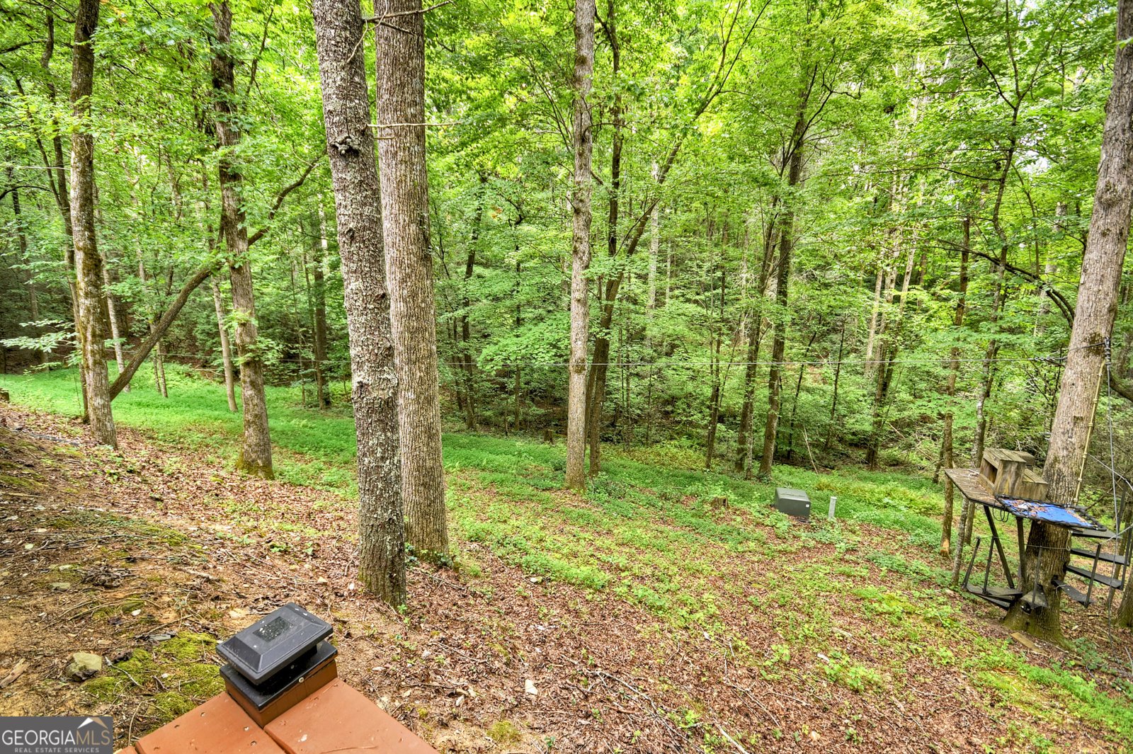 2587 Goose Island Road Cherry Log - 11