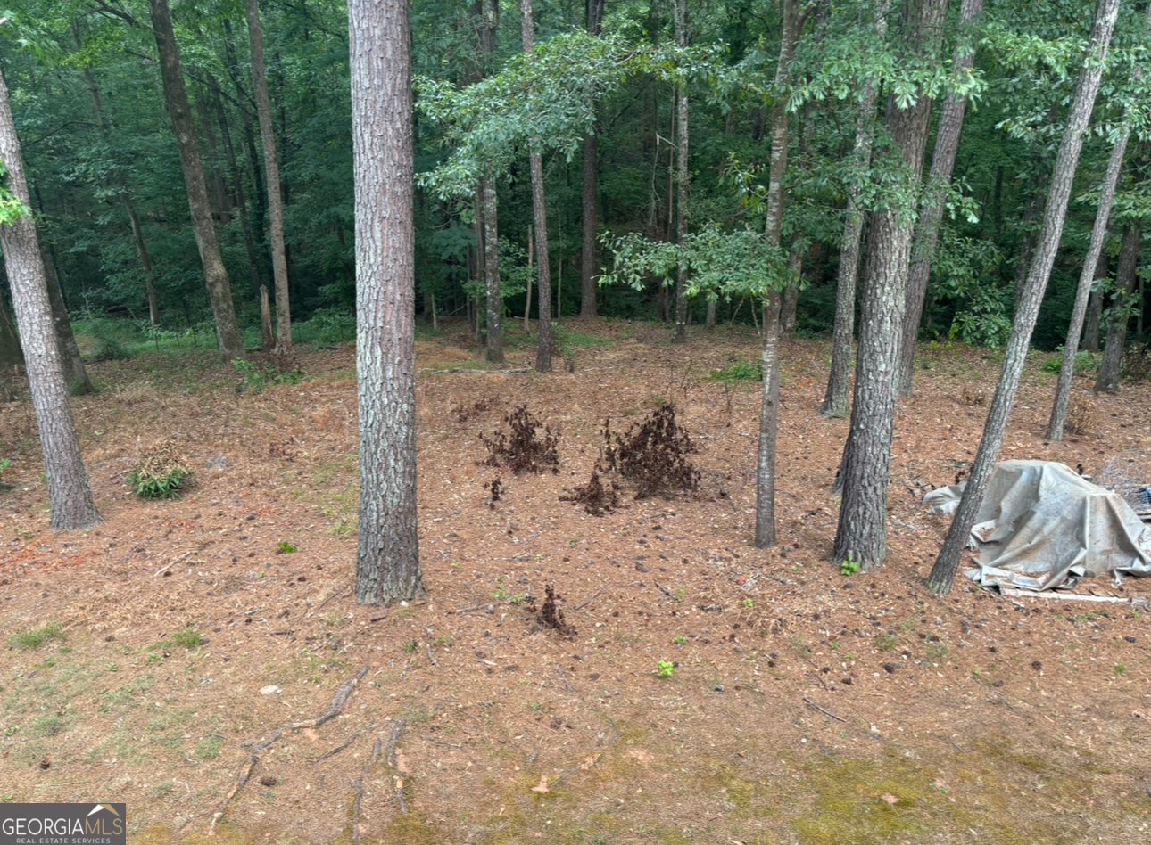 1695 Butler Bridge Road Covington - 48