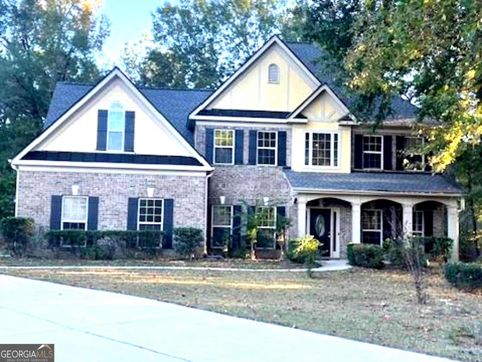 217 Westwinds Trail McDonough - 1