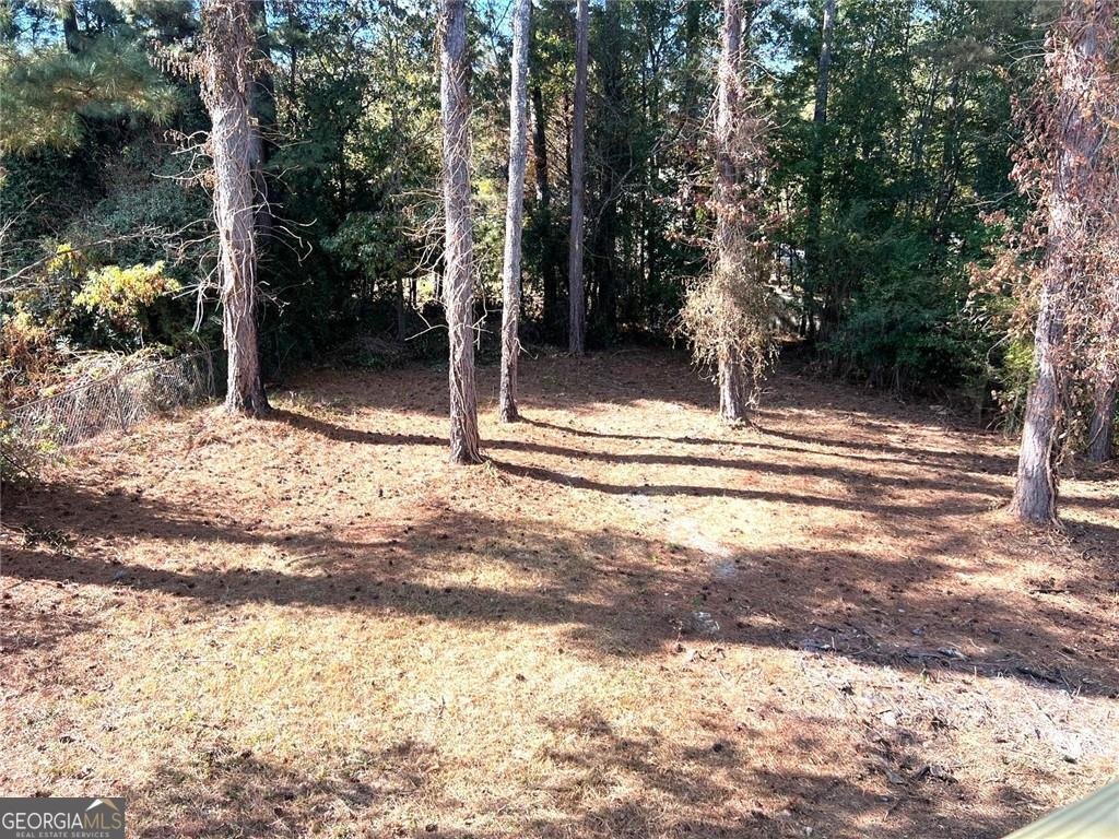 47 Collins Drive Douglasville - 7