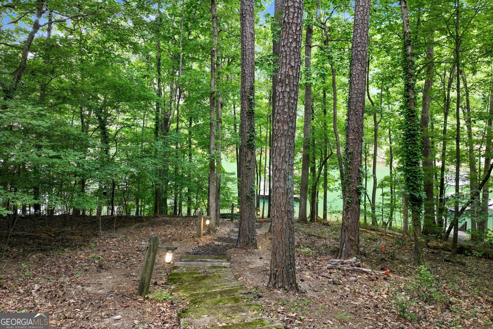 965 Timber Lake Trail Cumming - 3