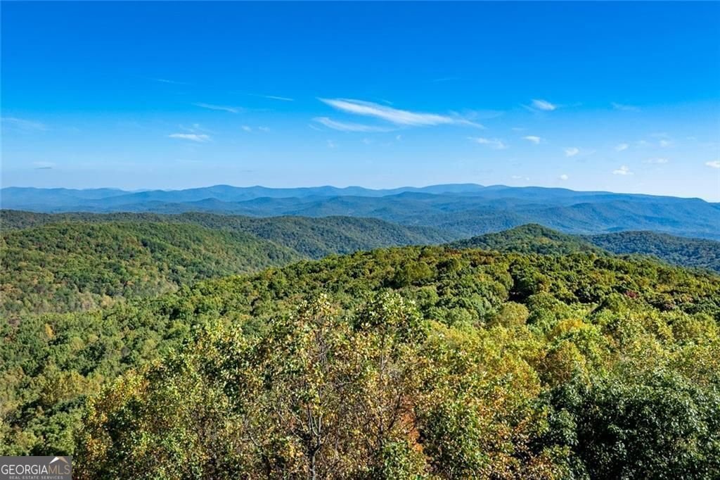 168 Burnt Mountain Cove Road Jasper - 42