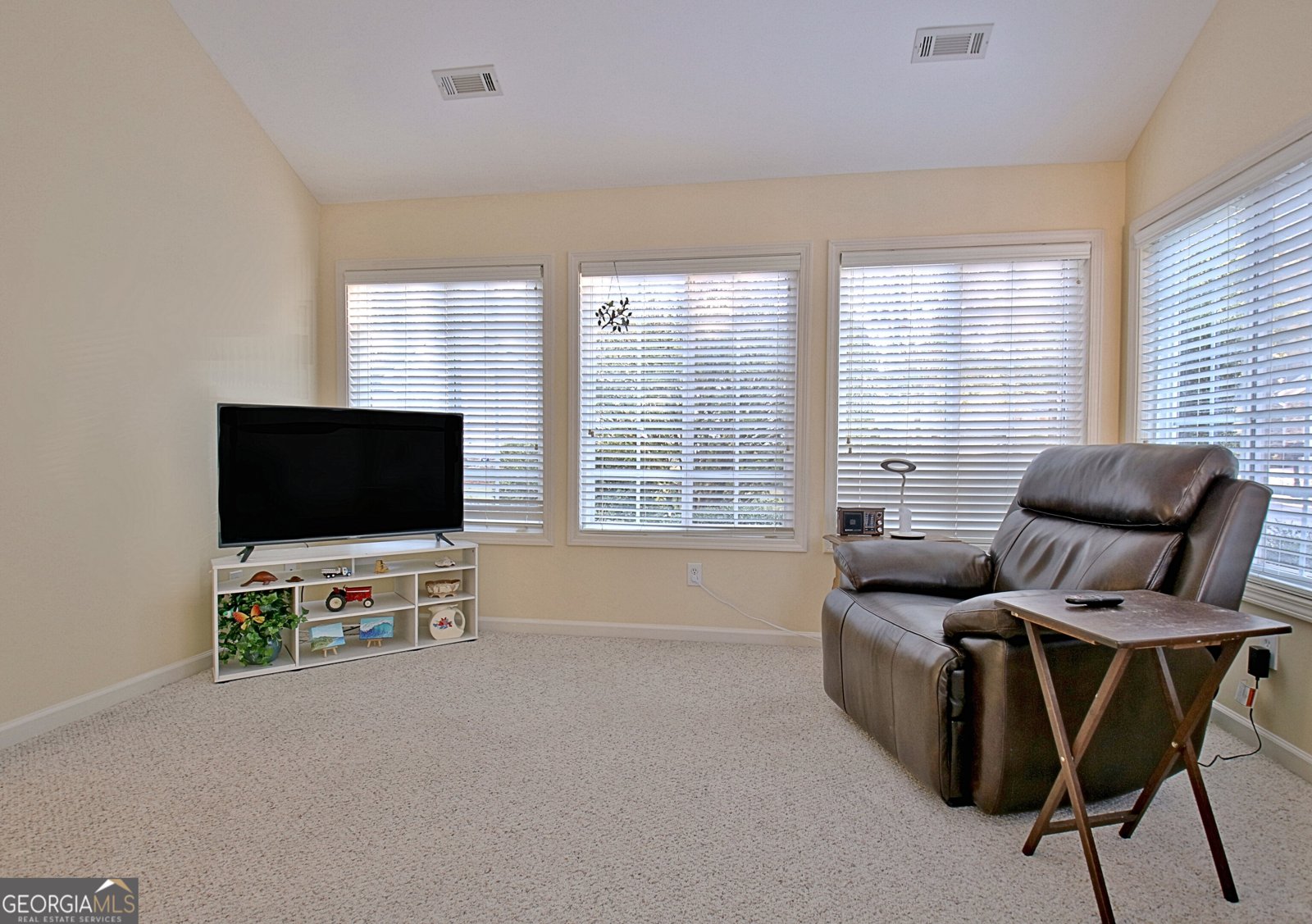 265 Rehobeth Way Fayetteville - 10