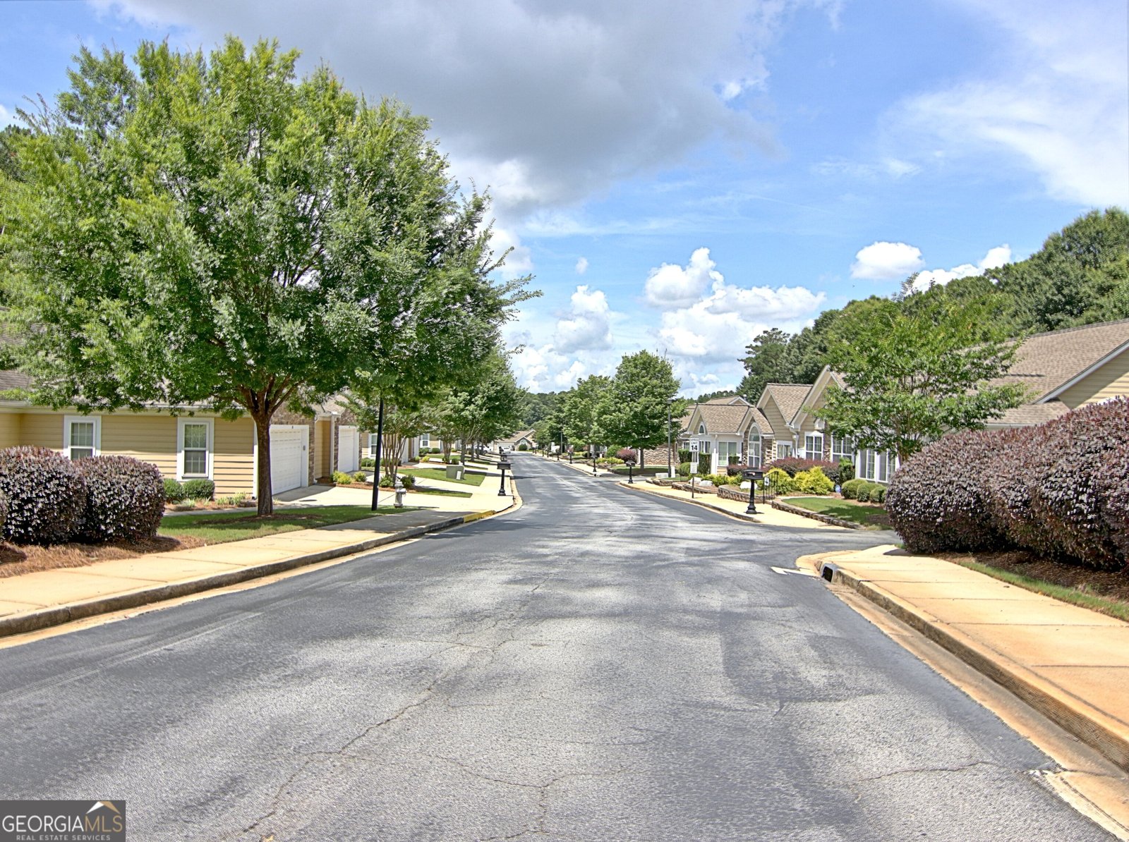 265 Rehobeth Way Fayetteville - 57