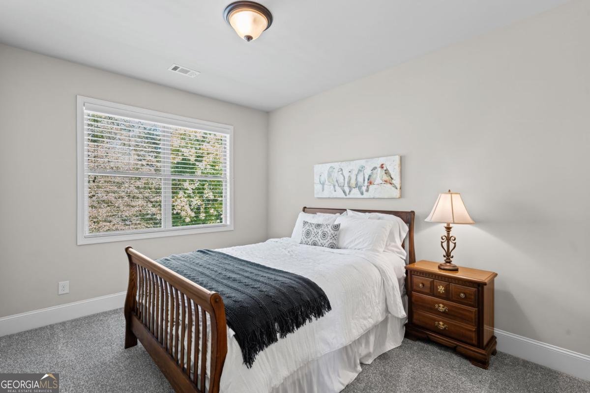 5620 Lilac Pass Cumming - 9