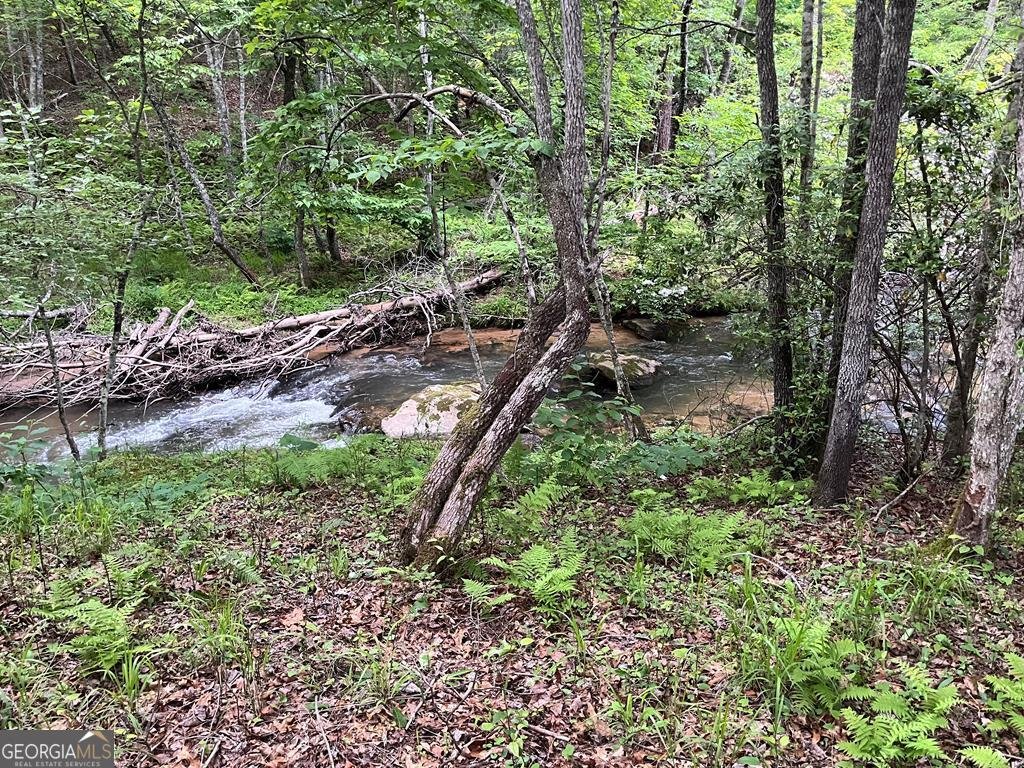 35 Indian Trace Mineral Bluff - 10