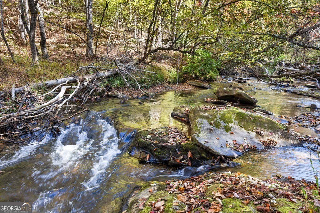 35 Indian Trace Mineral Bluff - 21