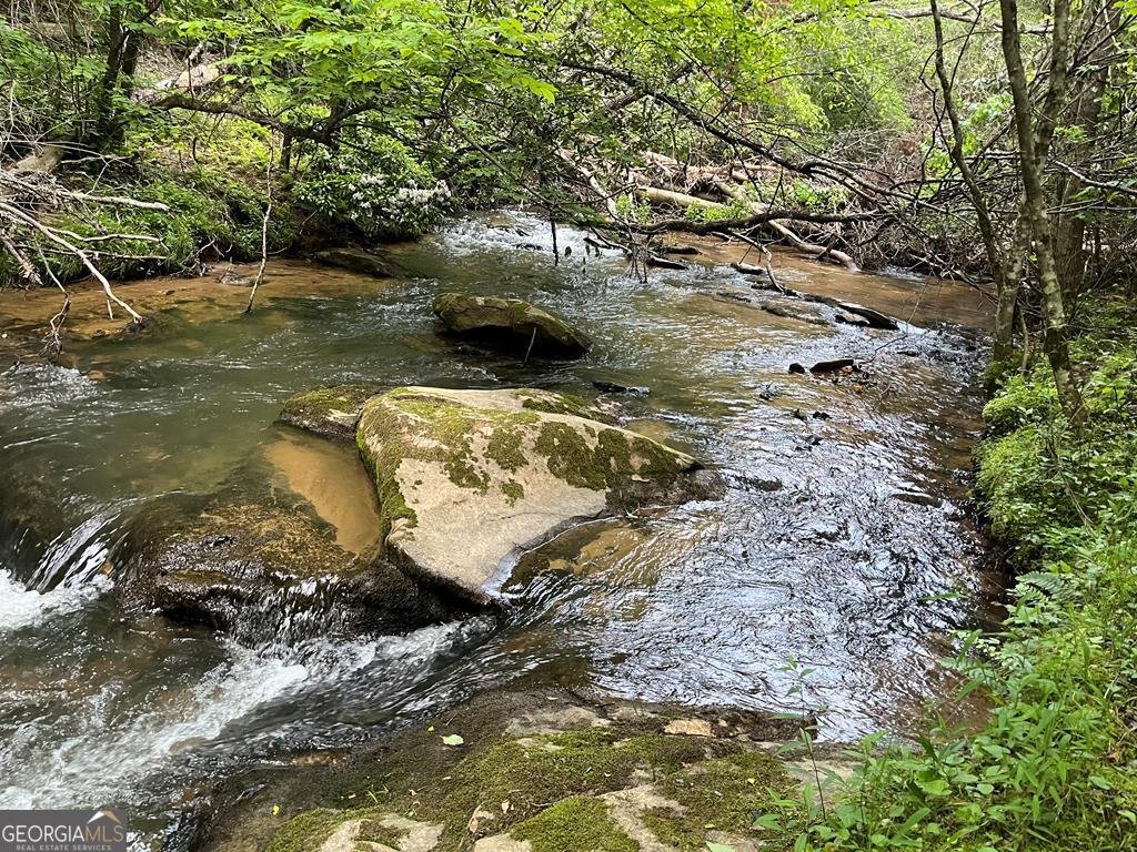 35 Indian Trace Mineral Bluff - 42