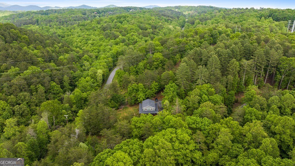 35 Indian Trace Mineral Bluff - 5