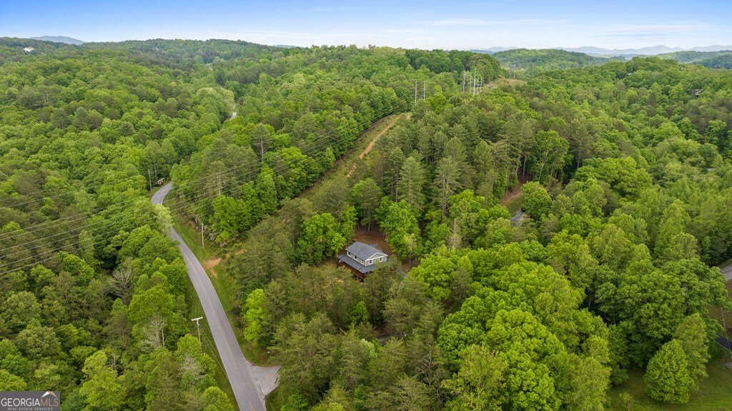 35 Indian Trace Mineral Bluff - 6