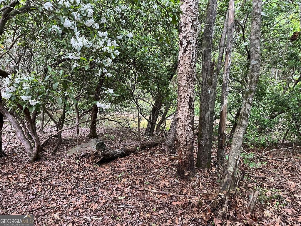 35 Indian Trace Mineral Bluff - 7