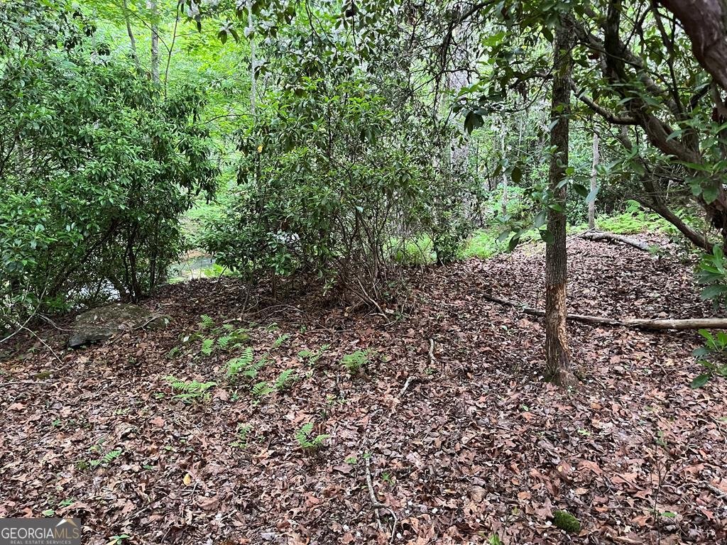 35 Indian Trace Mineral Bluff - 8