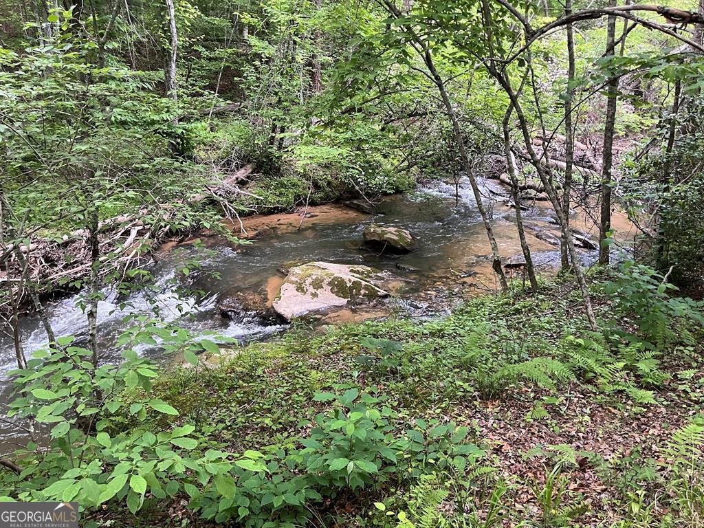 35 Indian Trace Mineral Bluff - 9