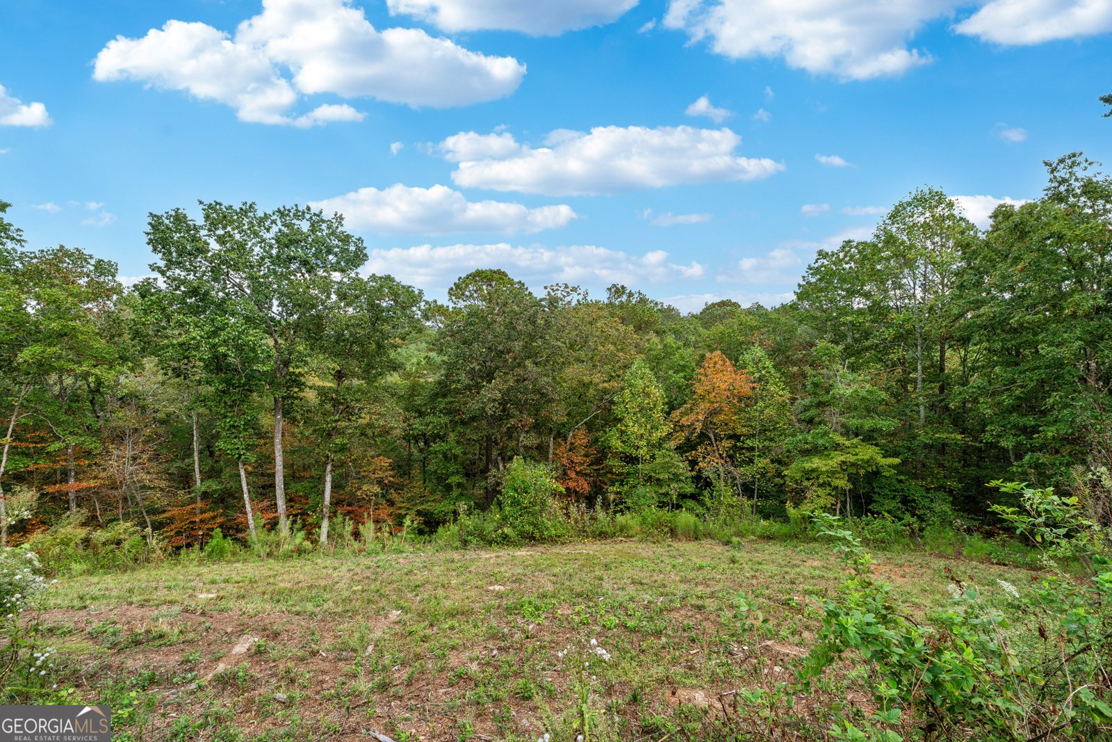 38 Mountain Ridge Road White - 46