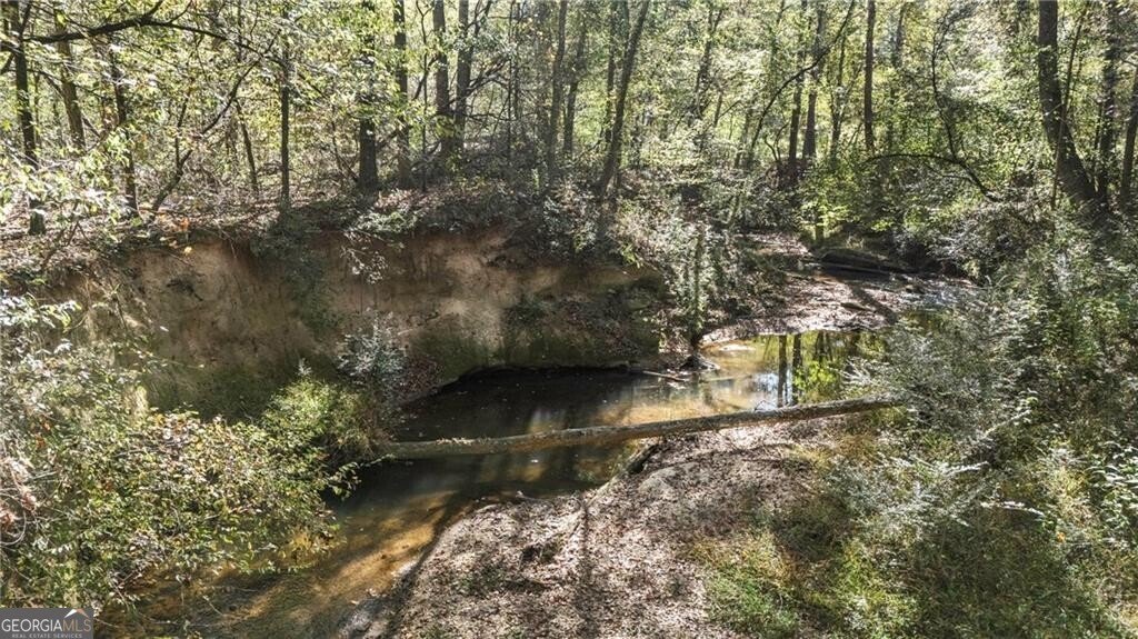 6985 Spout Springs Road Flowery Branch - 41