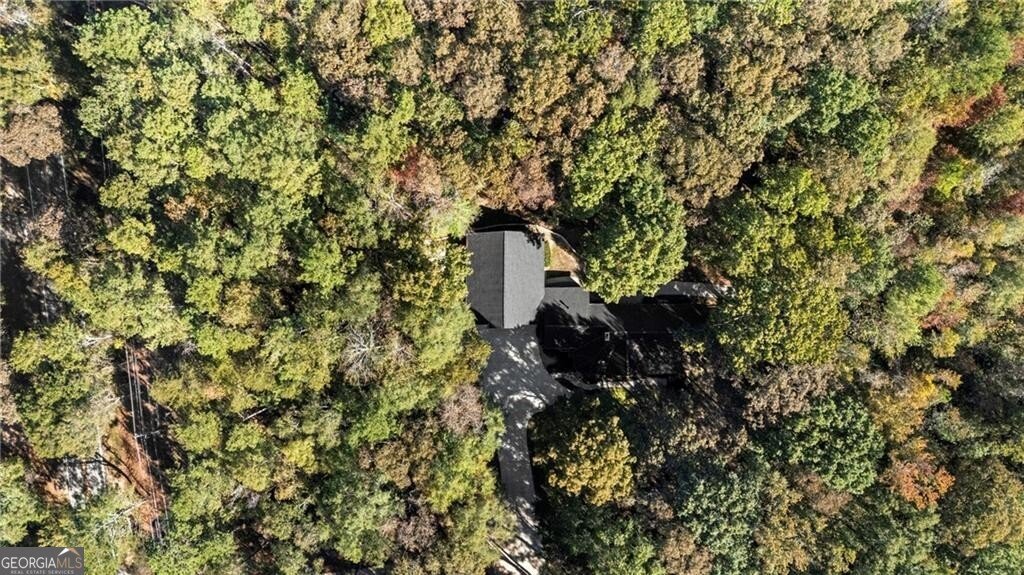 6985 Spout Springs Road Flowery Branch - 47